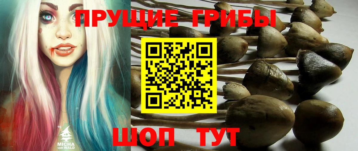 Галлюциногенные грибы MAGIC MUSHROOMS Котельники